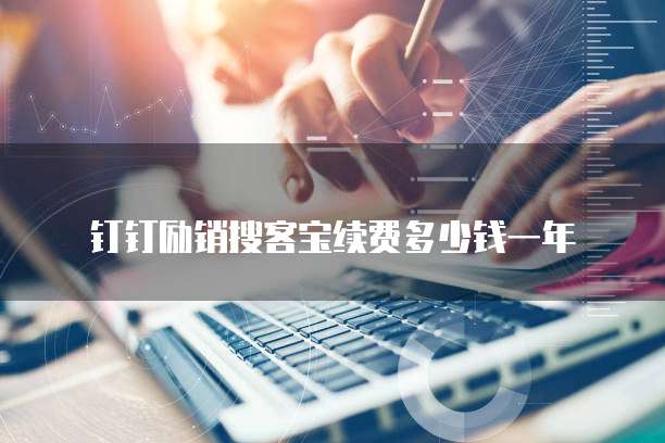 钉钉励销搜客宝续费多少钱一年