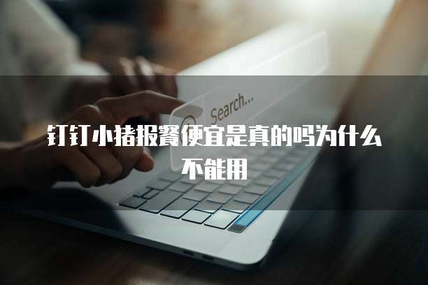 钉钉小猪报餐便宜是真的吗为什么不能用