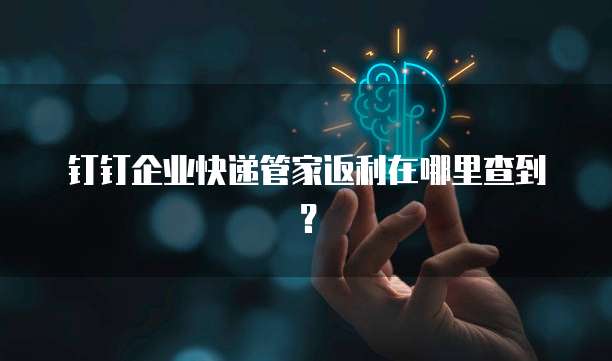 钉钉企业快递管家返利在哪里查到？