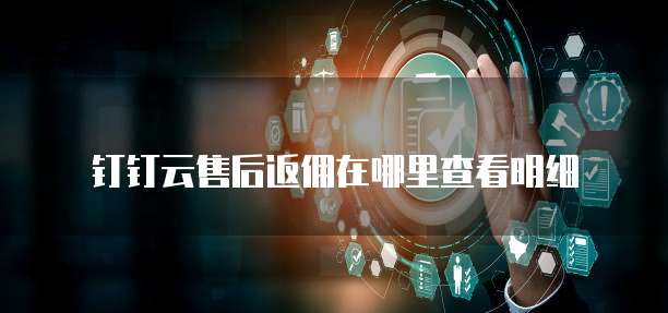 钉钉云售后返佣在哪里查看明细