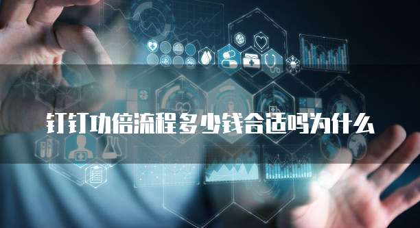 钉钉功倍流程多少钱合适吗为什么