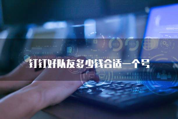 钉钉好队友多少钱合适一个号