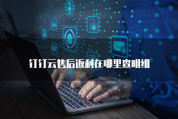 钉钉云售后返利在哪里查明细