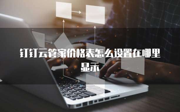 钉钉云管家价格表怎么设置在哪里显示