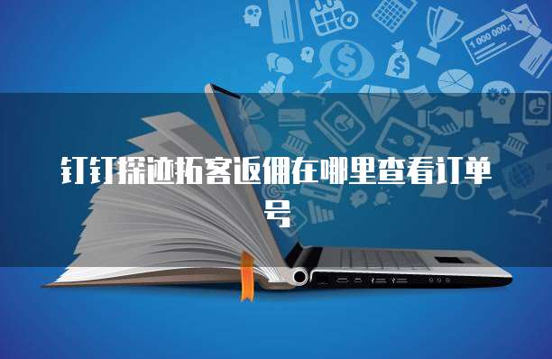 钉钉探迹拓客返佣在哪里查看订单号