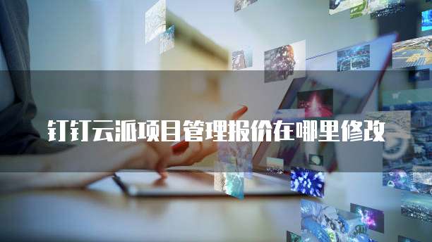 钉钉云派项目管理报价在哪里修改