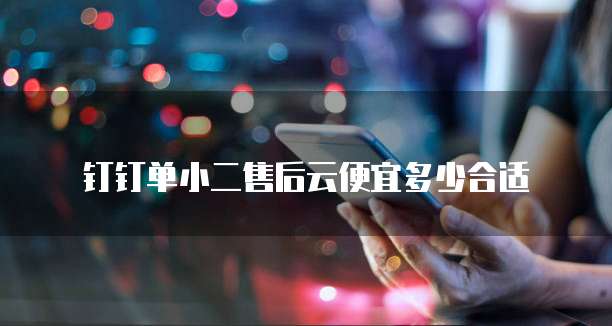 钉钉单小二售后云便宜多少合适