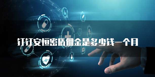 钉钉安恒密盾佣金是多少钱一个月