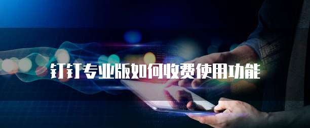 钉钉专业版如何收费使用功能