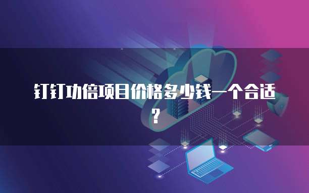 钉钉功倍项目价格多少钱一个合适?