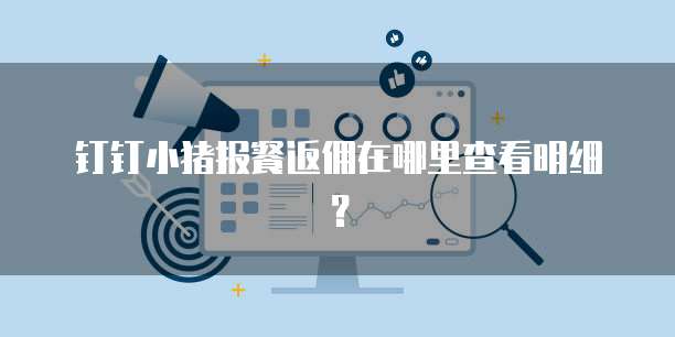 钉钉小猪报餐返佣在哪里查看明细？