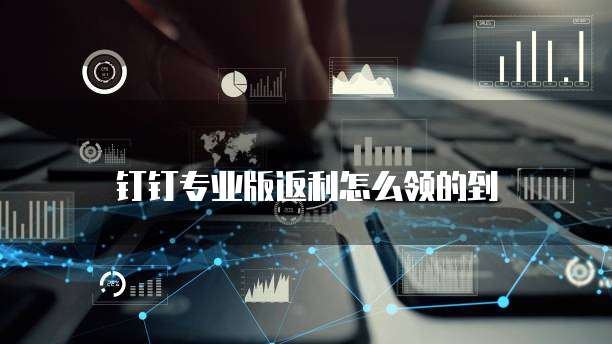 钉钉专业版返利怎么领的到
