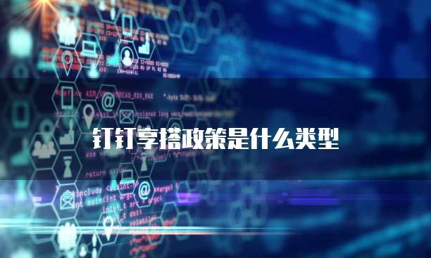 钉钉享搭政策是什么类型