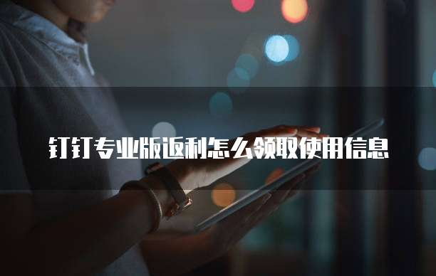 钉钉专业版返利怎么领取使用信息