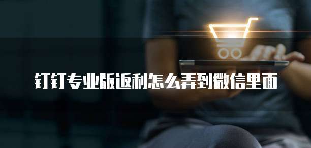 钉钉专业版返利怎么弄到微信里面