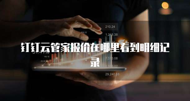 钉钉云管家报价在哪里看到明细记录