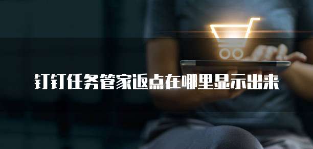 钉钉任务管家返点在哪里显示出来