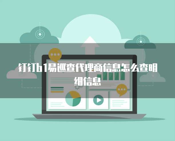 钉钉b1易巡查代理商信息怎么查明细信息