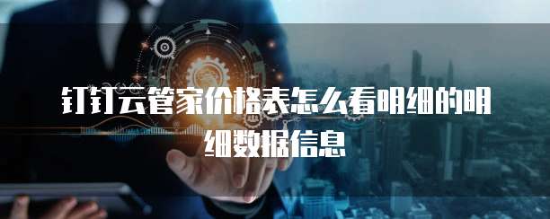 钉钉云管家价格表怎么看明细的明细数据信息