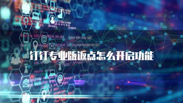 钉钉专业版返点怎么开启功能