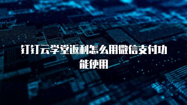 钉钉云学堂返利怎么用微信支付功能使用
