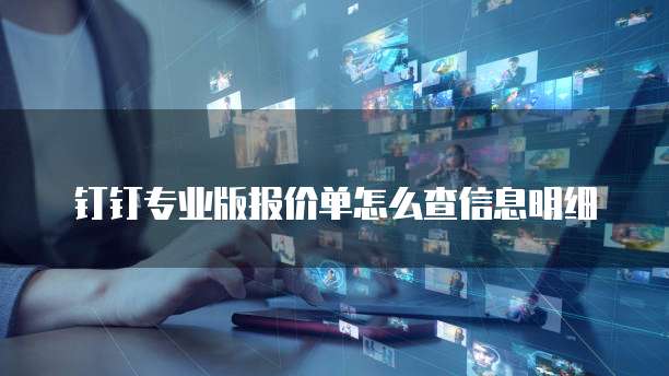 钉钉专业版报价单怎么查信息明细