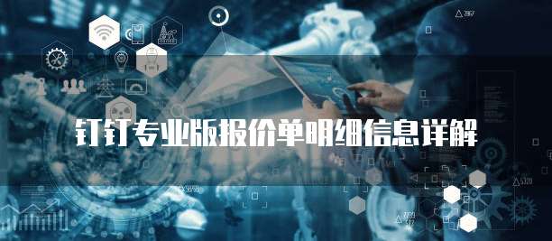 钉钉专业版报价单明细信息详解