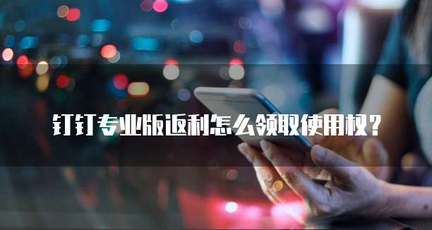 钉钉专业版返利怎么领取使用权？