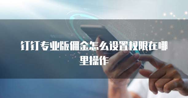 钉钉专业版佣金怎么设置权限在哪里操作