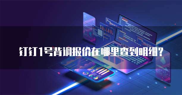 钉钉1号背调报价在哪里查到明细?