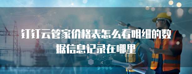 钉钉云管家价格表怎么看明细的数据信息记录在哪里