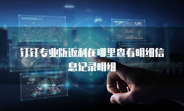 钉钉专业版返利在哪里查看明细信息记录明细