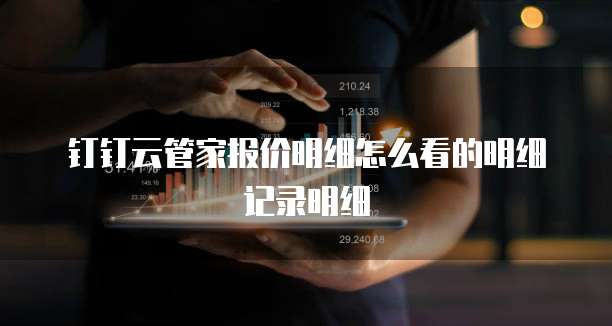 钉钉云管家报价明细怎么看的明细记录明细