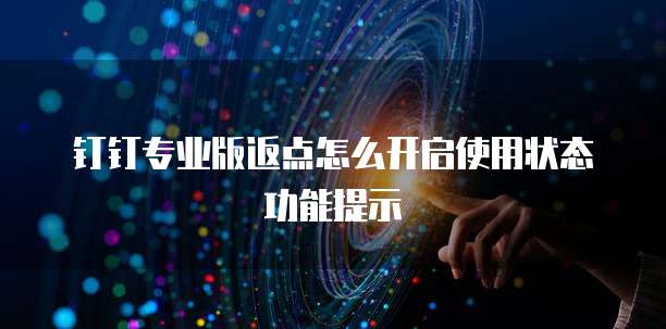 钉钉专业版返点怎么开启使用状态功能提示