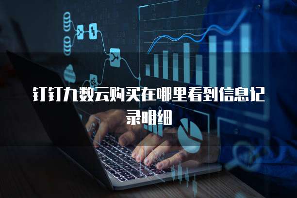 钉钉九数云购买在哪里看到信息记录明细