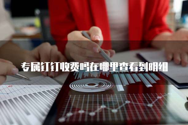 专属钉钉收费吗在哪里查看到明细