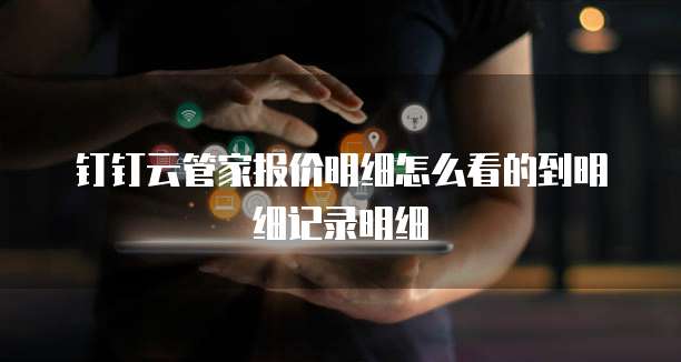 钉钉云管家报价明细怎么看的到明细记录明细