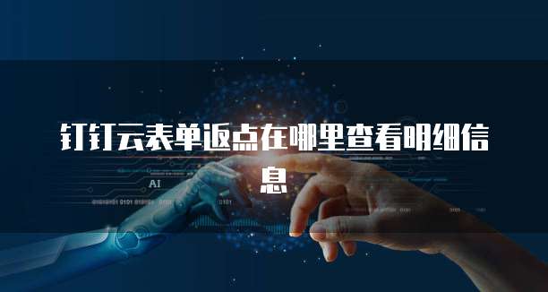 钉钉云表单返点在哪里查看明细信息