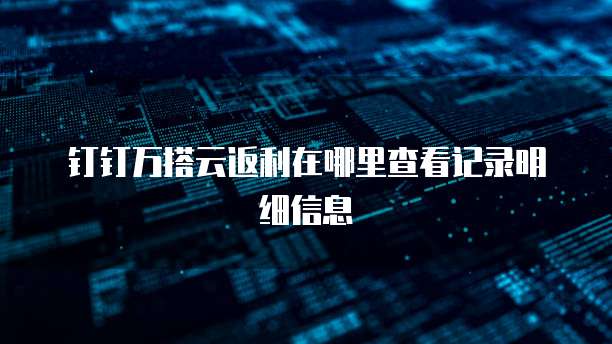 钉钉万搭云返利在哪里查看记录明细信息