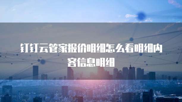 钉钉云管家报价明细怎么看明细内容信息明细