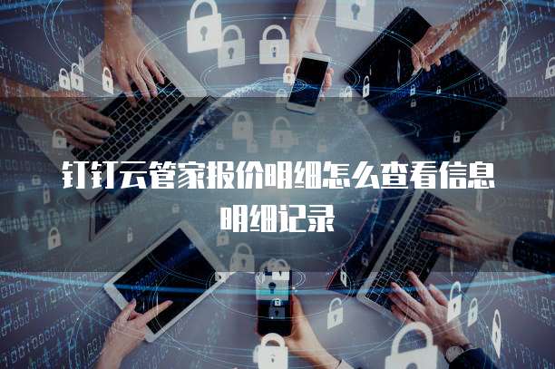 钉钉云管家报价明细怎么查看信息明细记录