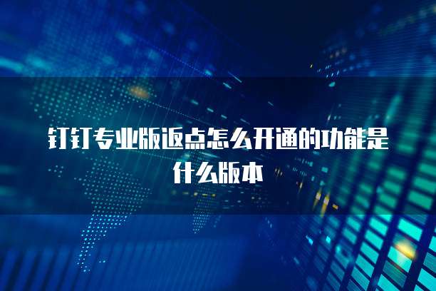 钉钉专业版返点怎么开通的功能是什么版本