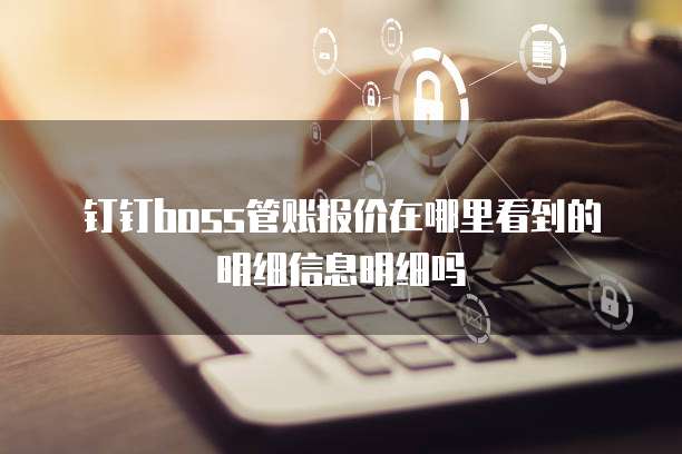 钉钉boss管账报价在哪里看到的明细信息明细吗