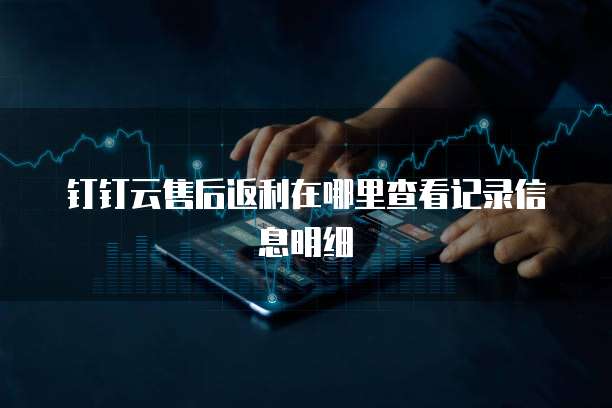 钉钉云售后返利在哪里查看记录信息明细