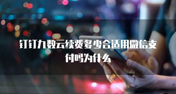 钉钉九数云续费多少合适用微信支付吗为什么