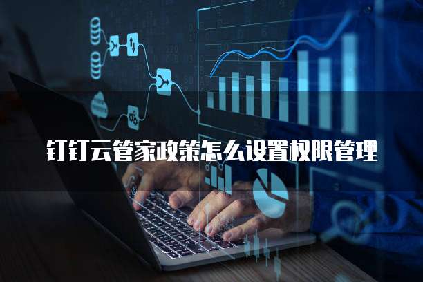 钉钉云管家政策怎么设置权限管理