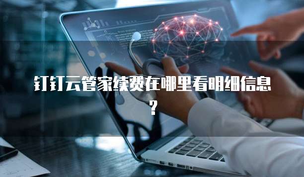 钉钉云管家续费在哪里看明细信息?
