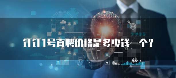 钉钉1号直聘价格是多少钱一个？