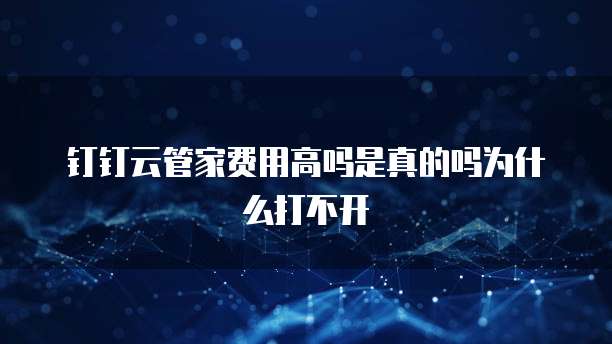 钉钉云管家费用高吗是真的吗为什么打不开