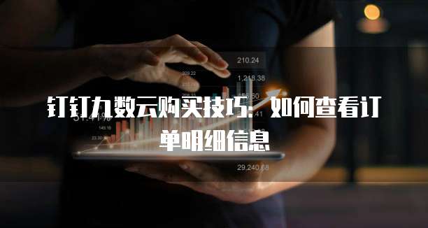钉钉九数云购买技巧:如何查看订单明细信息